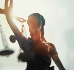 Corporate Structuring & Litigation Support